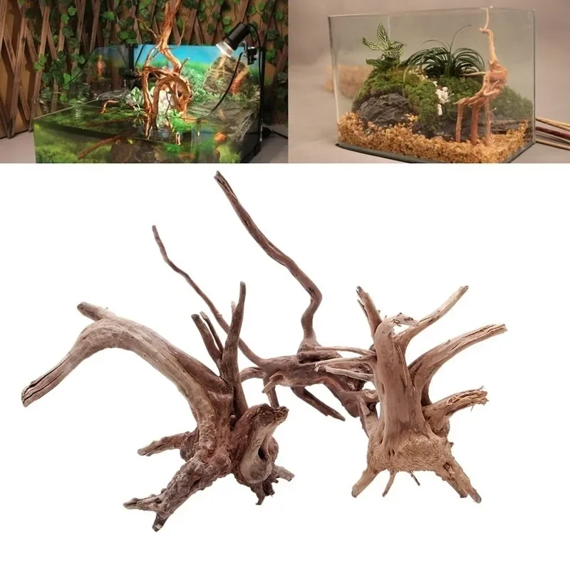 Live Plant Aquarium - 水族館、魚のタンク、爬虫類の根の植物、木の装飾、装飾アクセサリーのための自然な木のトランクの流木