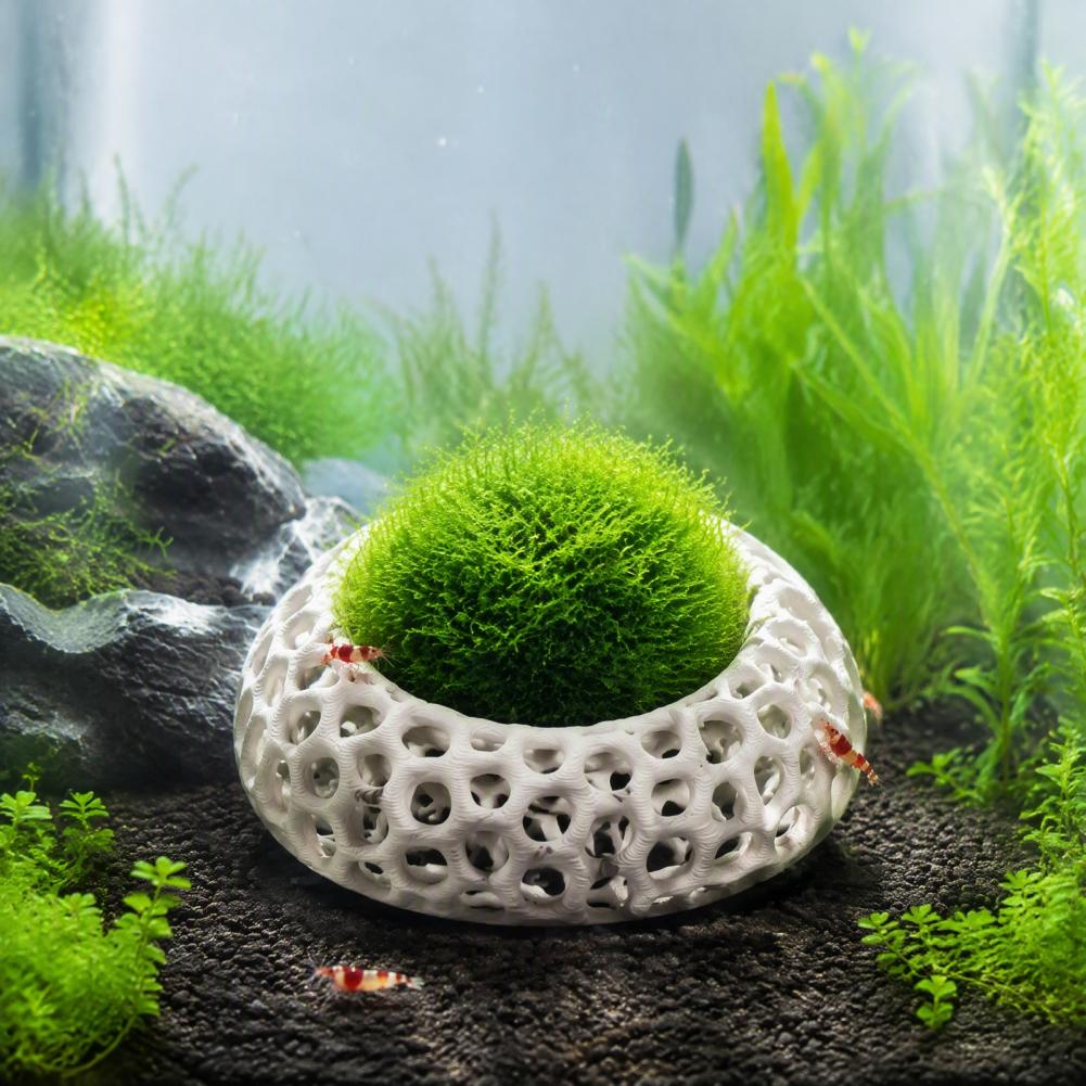 Aquarium Moss - 小型エビ用の生息環境セット（2個入り）。水槽用のエビ用洞窟。丸い隠れ家で、チェリードワーフエビやモス、アヌビアスなどの水草を飾るのに最適。水槽の装飾にも。