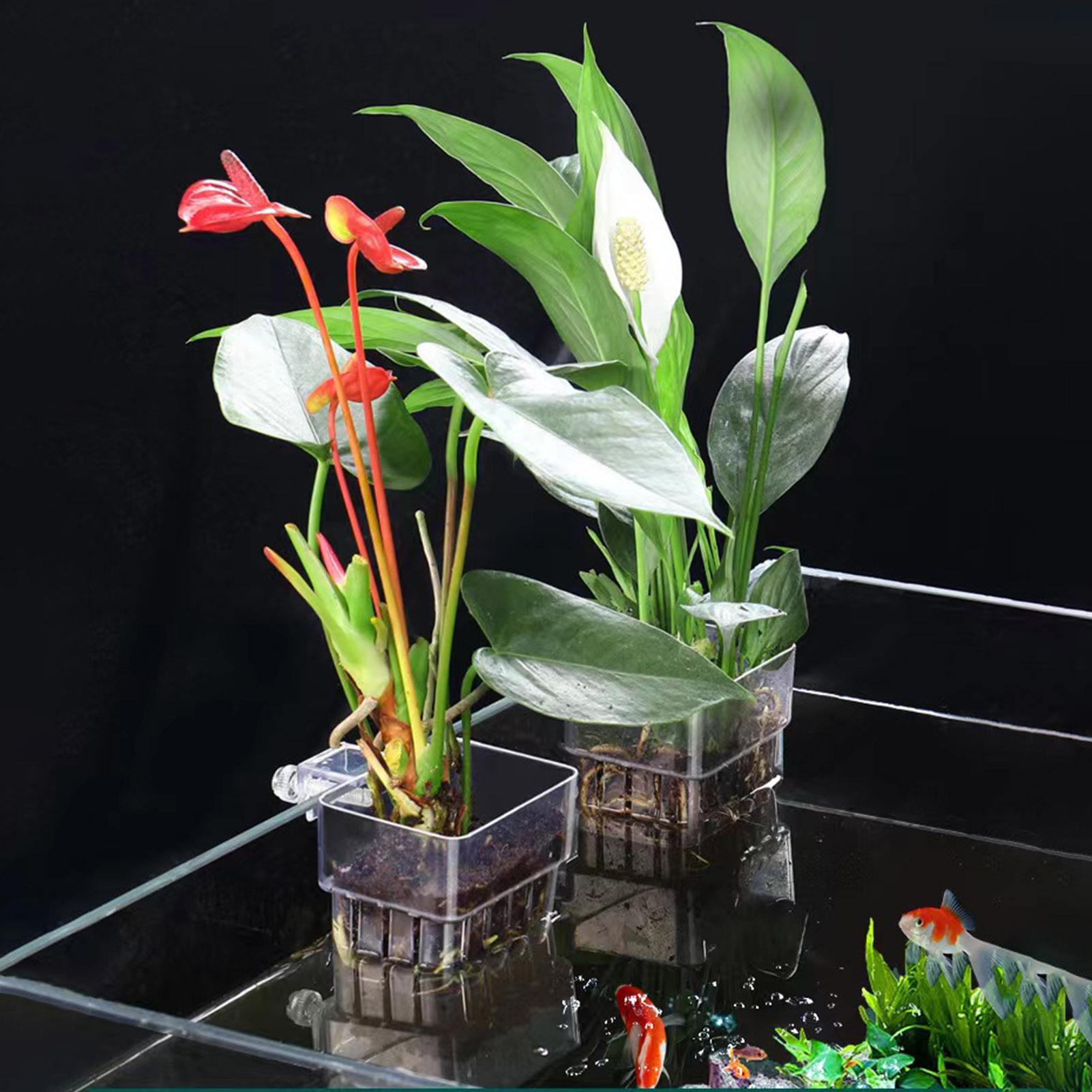 Aquarium Plant Holder - 透明アクリル製の植物ホルダー。水槽やアクアリウム用の水耕栽培バスケット。水草や植物を飾るのに最適。複数の植物を配置して、美しい景観を作り出すことができます。
