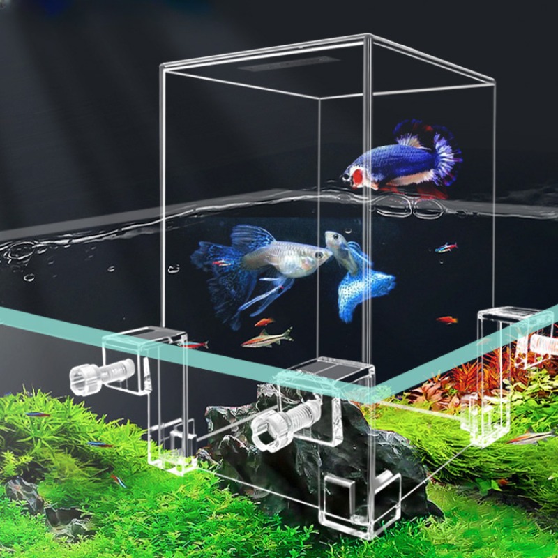Plant Aquarium Pot - 小さな魚のための負の圧力、創造的な装飾、エコロジカル水族館、ポットの分離、カクテルボウル