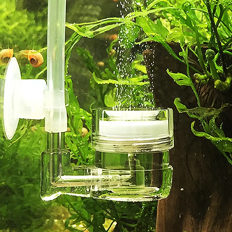 Live Plant Aquarium - 水槽用4in1 CO2ディフューザー、ガラス製タンクバブルリアクター、ソレノイドレギュレーター、DIY CO2アトマイザー（水槽、水草、ペチェラ用）
