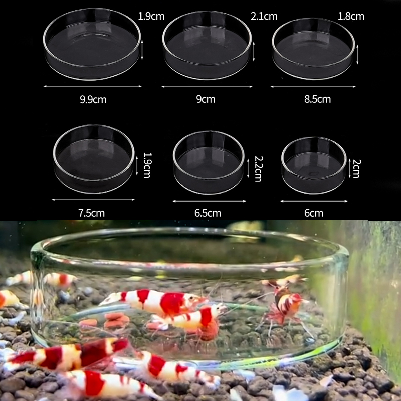 Aquarium Fertilizer - エビ給餌皿高透明ガラス給餌皿魚用タンククリアフィーダーボウル水族館の水槽爬虫類フィーダー
