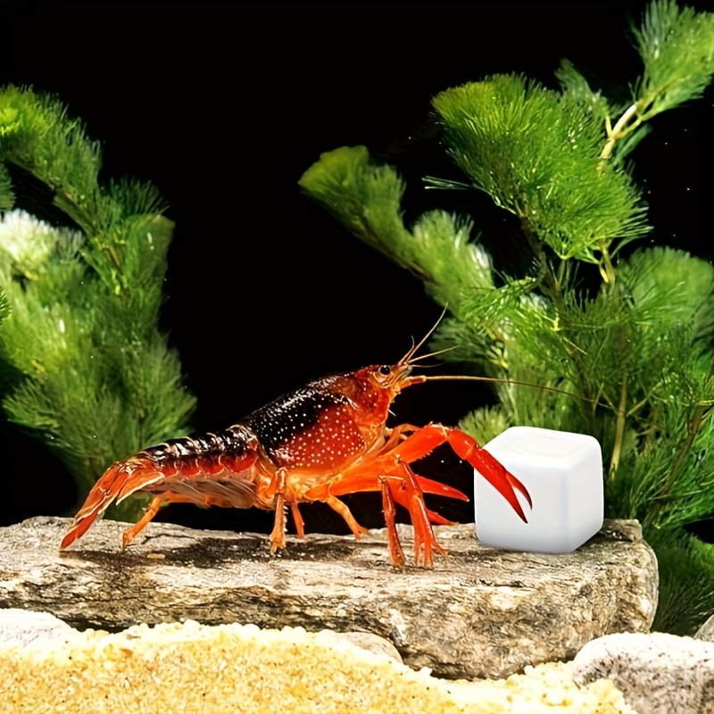 Aquarium Plants Live - 6個入り 魚タンク用カルシウムブロック ミネラル アクアリウム用品 爬虫類用研磨キューブ 亀用石