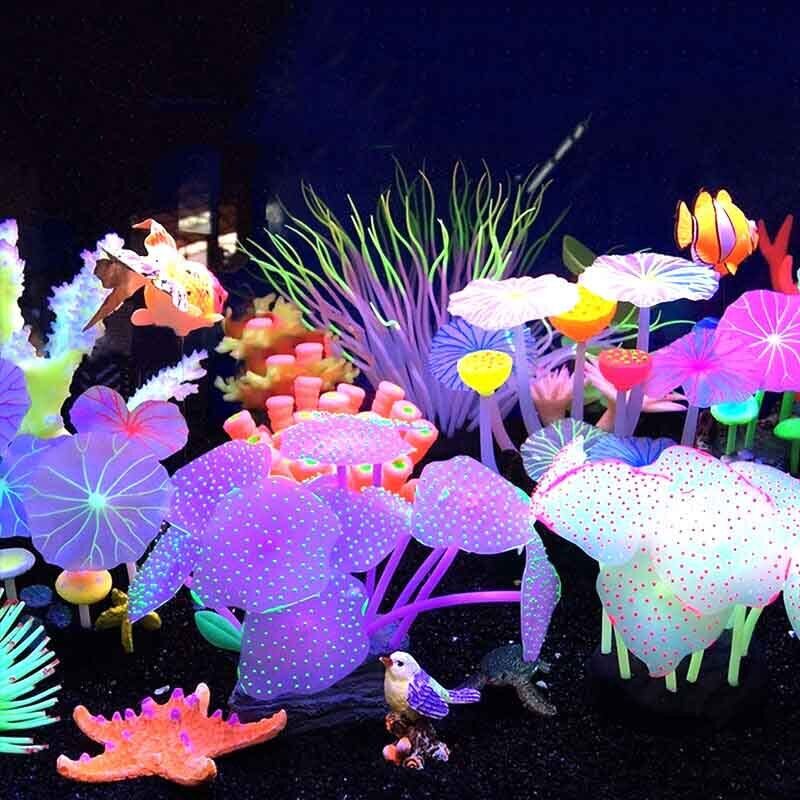 シリコン製光る景観人工魚タンク水槽蛍光サンゴひまわり海葵植物 - Live Plant Aquarium のレビューと価格