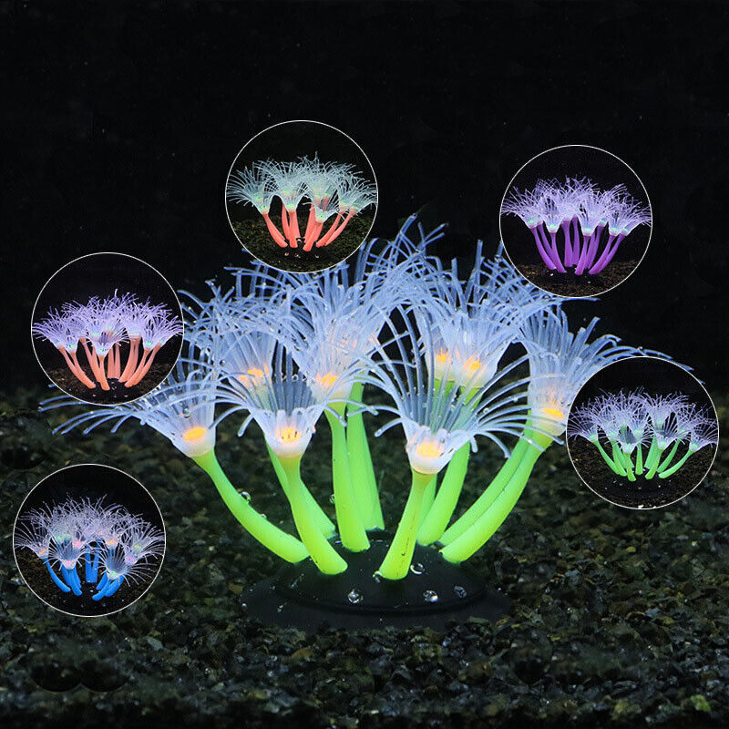 シリコン製光る景観人工魚タンク水槽蛍光サンゴひまわり海葵植物 - Live Plant Aquarium のレビューと価格