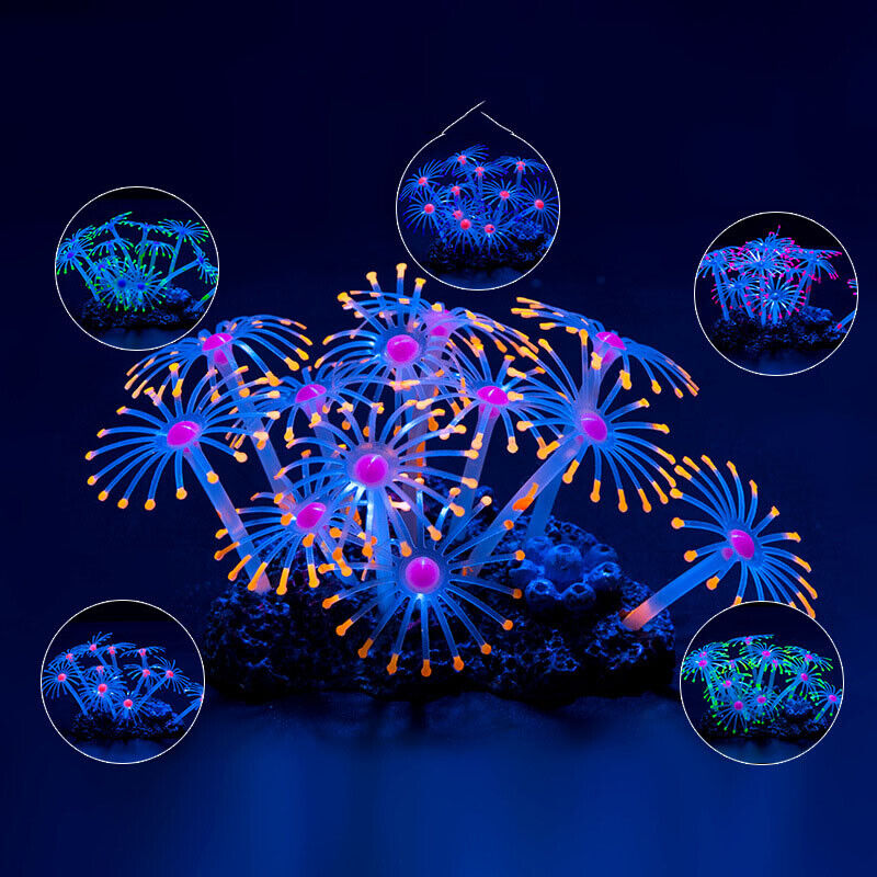 シリコン製光る景観人工魚タンク水槽蛍光サンゴひまわり海葵植物 - Live Plant Aquarium のレビューと価格