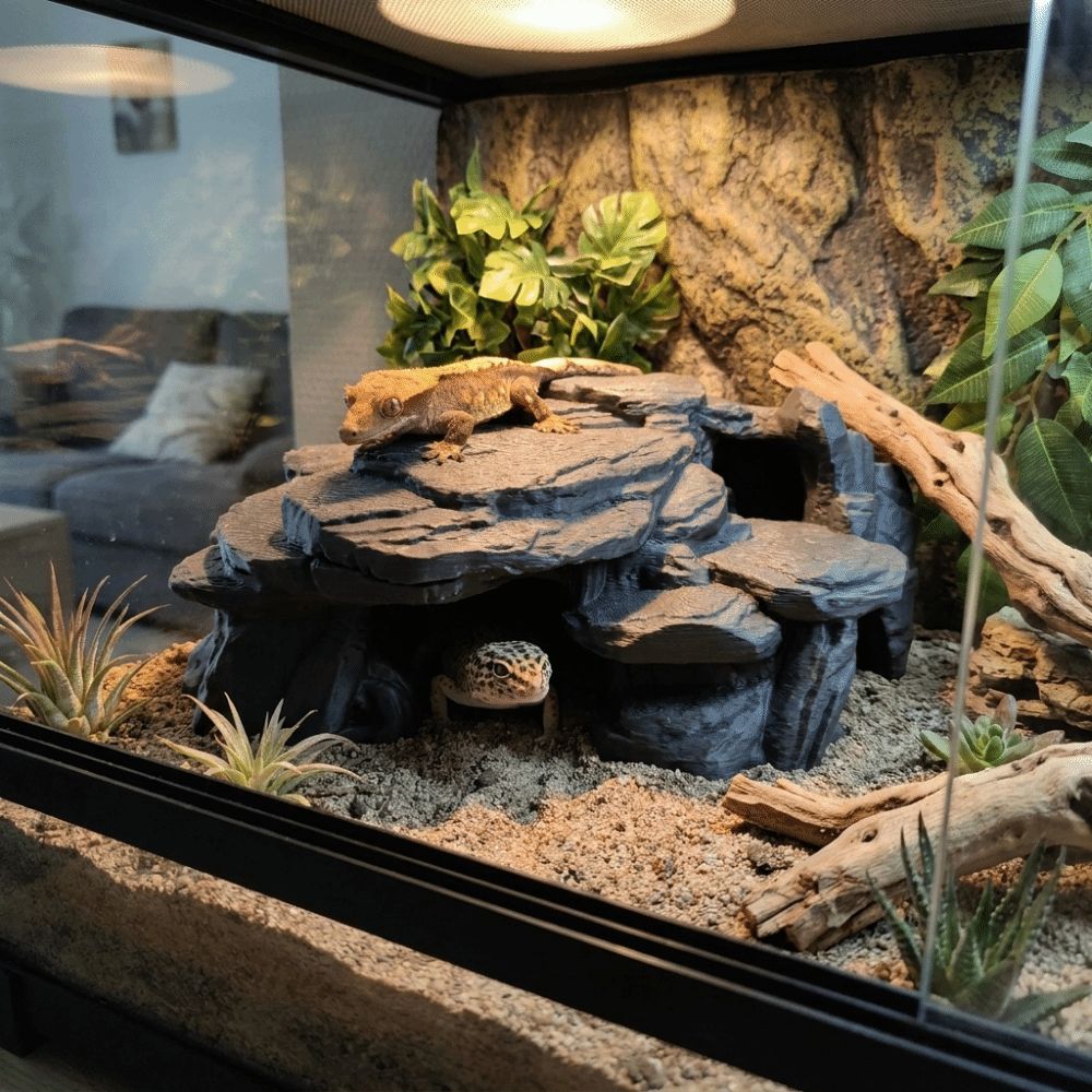 3Dプリント製水槽用岩飾り、リアルな質感の模擬岩、水槽用魚の - Aquarium Driftwood のレビューと価格