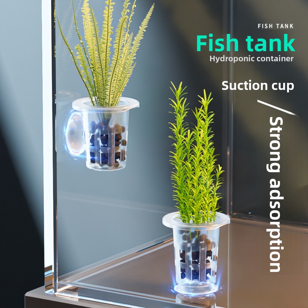 10個入り透明植物水耕栽培ポット、吸盤付きプラスチック製水草 - Aquarium Plant Holder のレビューと価格
