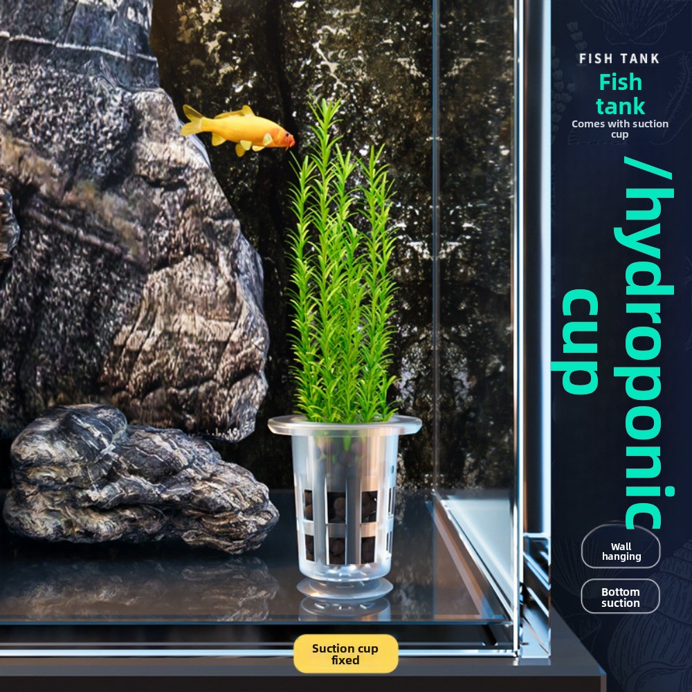 10個入り透明植物水耕栽培ポット、吸盤付きプラスチック製水草 - Aquarium Plant Holder のレビューと価格
