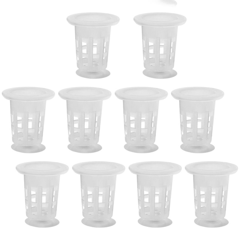 10個入り透明植物水耕栽培ポット、吸盤付きプラスチック製水草 - Aquarium Plant Holder のレビューと価格