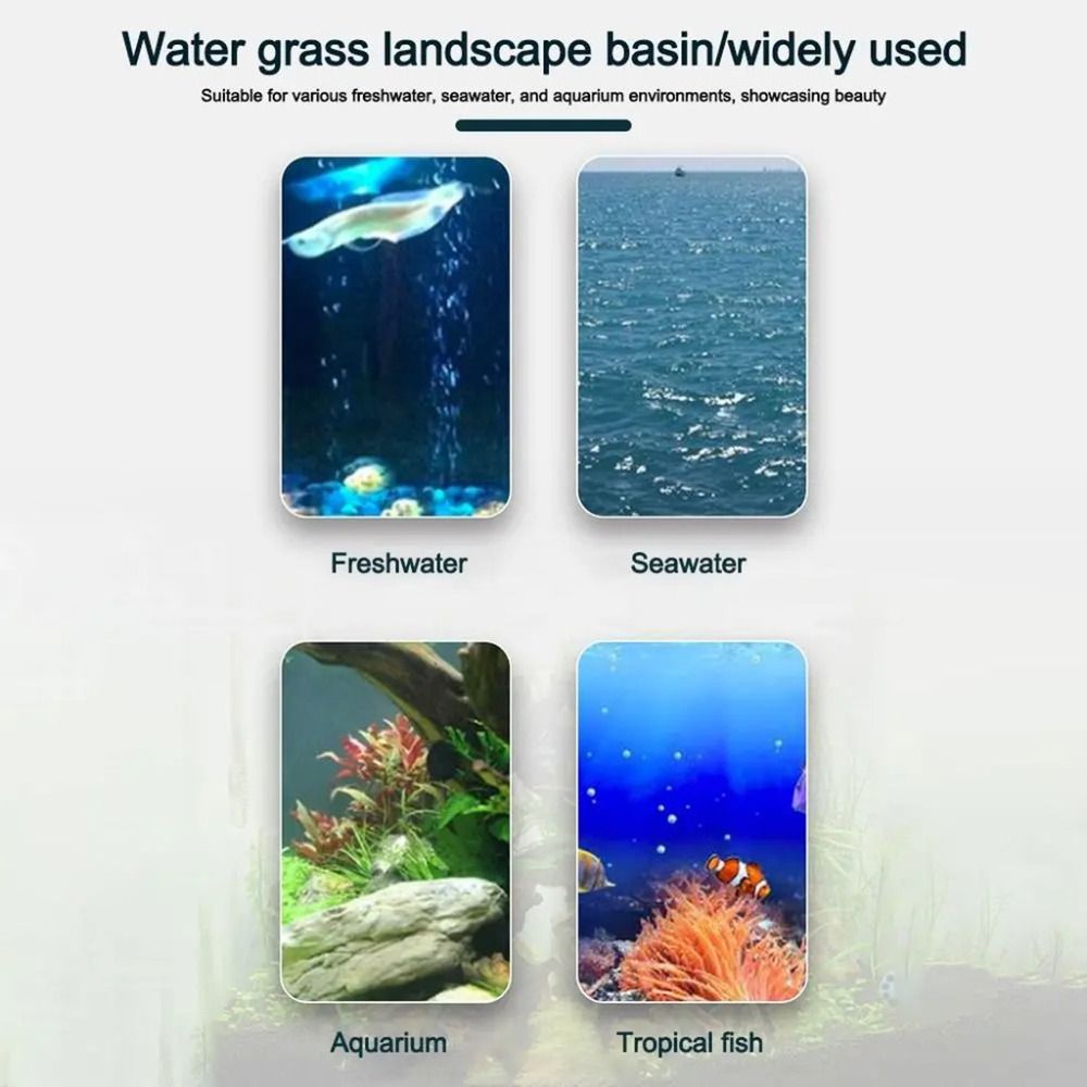 10個入り透明植物水耕栽培ポット、吸盤付きプラスチック製水草 - Aquarium Plant Holder のレビューと価格