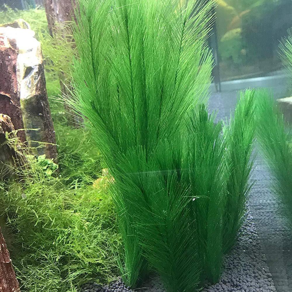 1/3 個 28/40 センチメートル水族館の水槽人工水草水 - Live Plant Aquarium のレビューと価格