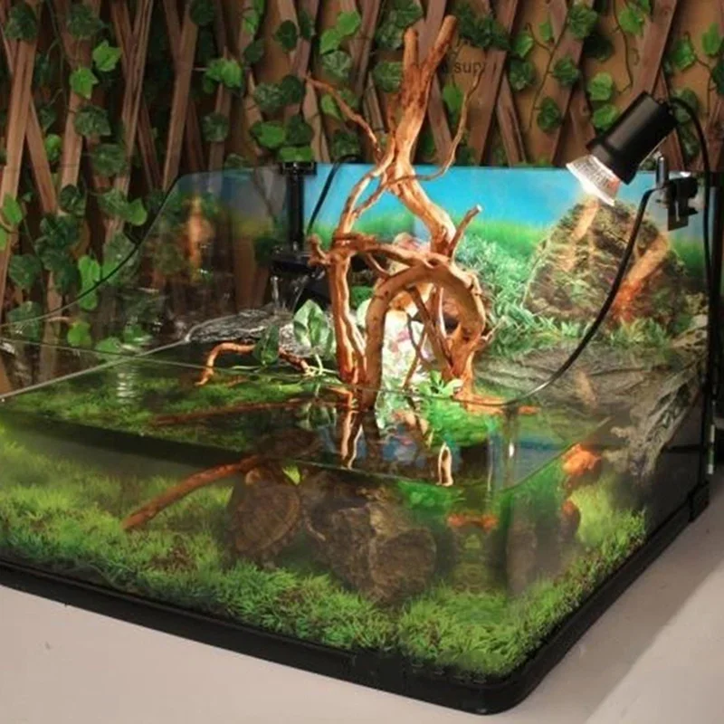 水族館、魚のタンク、爬虫類の根の植物、木の装飾、装飾アクセサ - Live Plant Aquarium のレビューと価格