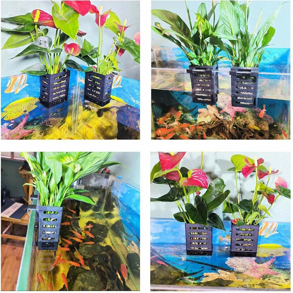 水族館の水槽用植物ホルダー、フックと吸盤付き、水生植物の栽培 - Aquarium Plant Holder のレビューと価格