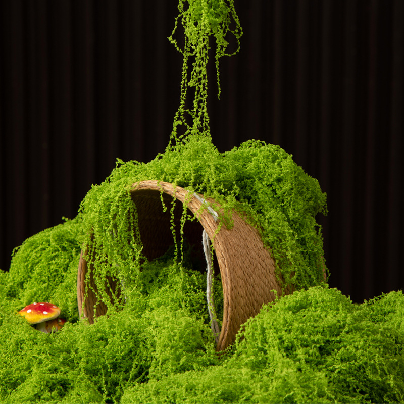 200 グラム永遠の命苔 DIY 工芸品草人工緑植物ホームル - Aquarium Moss のレビューと価格