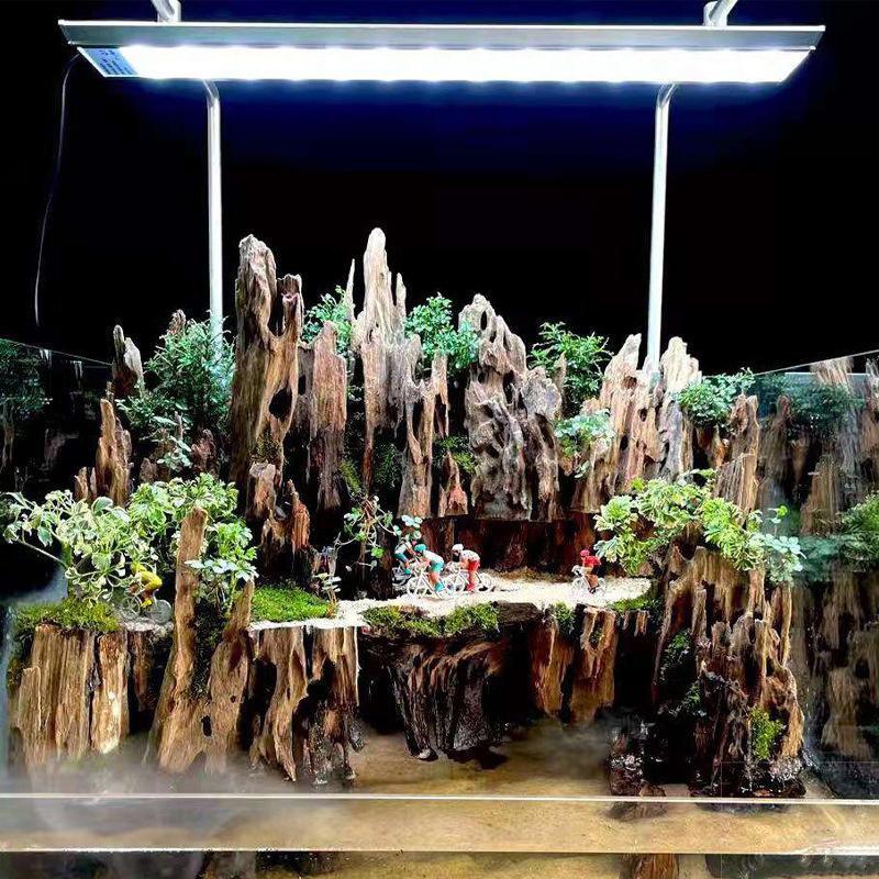 エビ用木製水槽装飾品、天然の穴が付いたエビに適した天然木の水 - Aquarium Driftwood のレビューと価格