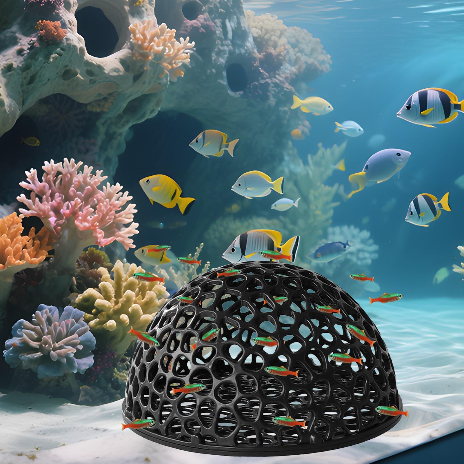 小型魚やエビの繁殖と休憩用の水槽隠れ家、安全な隠れ場所、水槽 - Aquarium Plants Live のレビューと価格