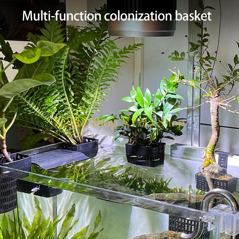 X22D モダン古代スタイル垂直植物ホルダープラスチック壁取 - Aquarium Plant Holder のレビューと価格