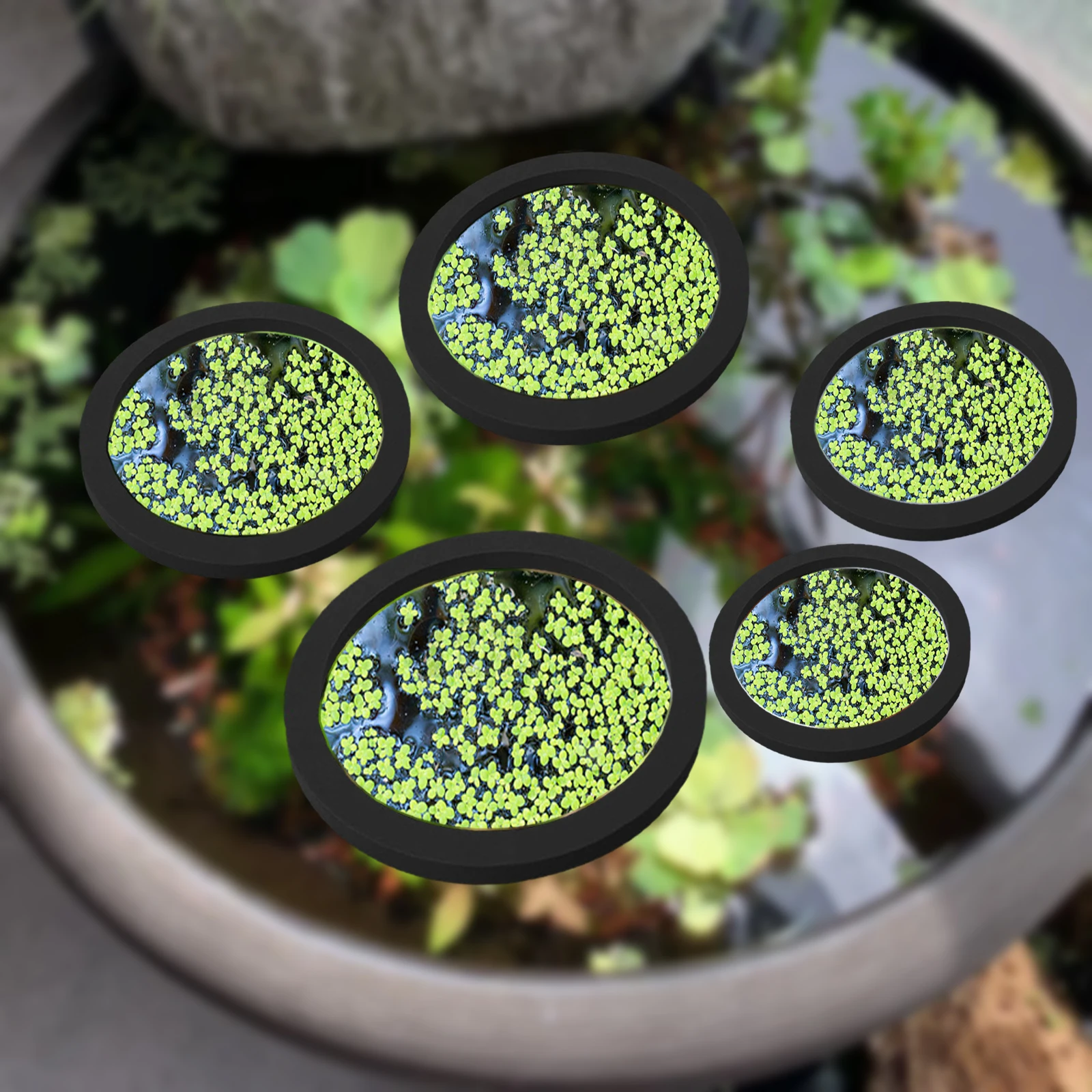 5 個 EVA 魚給餌リング水族館浮遊植物囲い水槽フロート植 - Planted Tank のレビューと価格