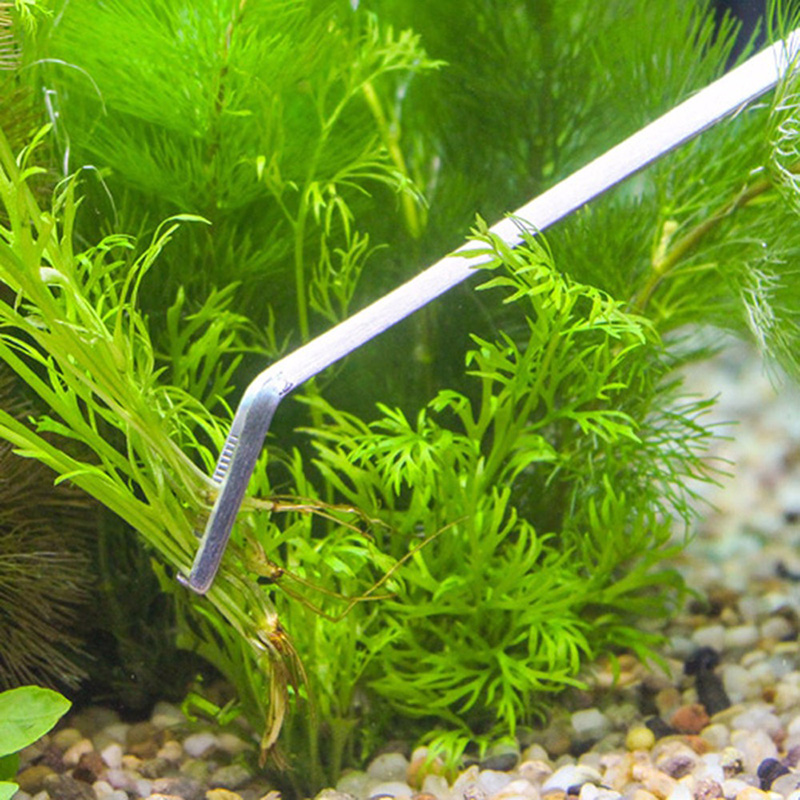 プロ仕様の水槽メンテナンスツールキット。水槽クリーナー、ピン - Live Plant Aquarium のレビューと価格