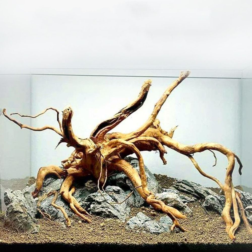 20-25CM大型水槽流木天然魚タンク植物装飾ツリーフィッシ - Aquarium Driftwood のレビューと価格