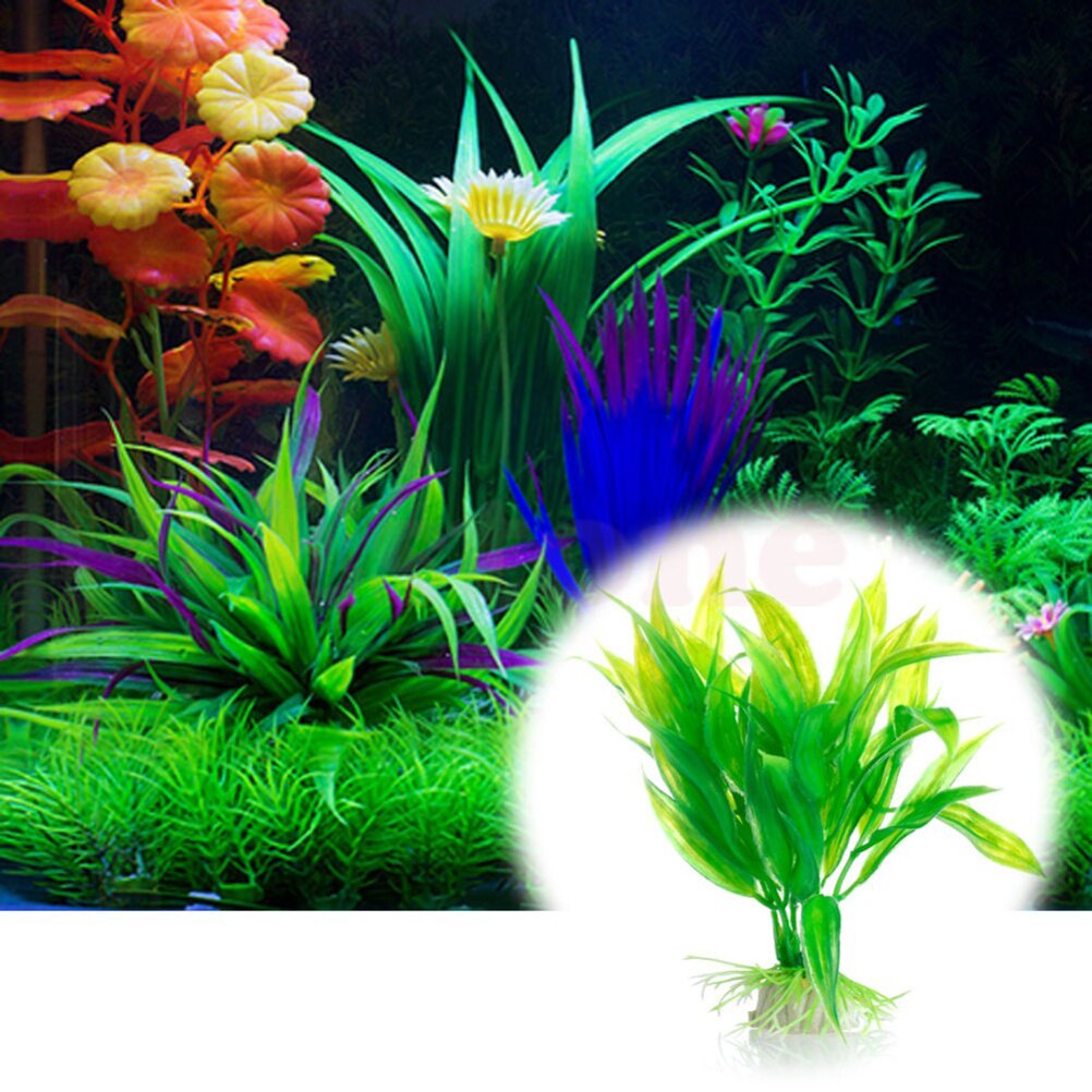 15 センチメートル人工水族館の装飾植物水雑草飾り水生植物水 - Live Plant Aquarium のレビューと価格