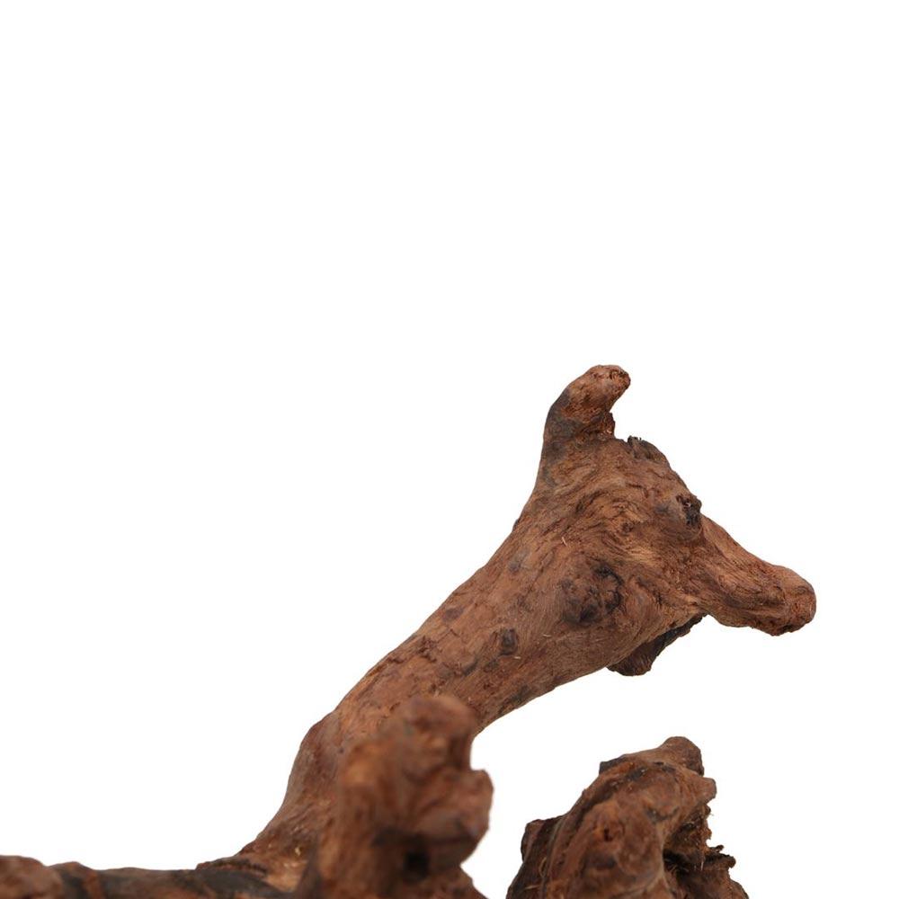 創造的な不規則な形の珊瑚ウッド、天然ウッド、流木、松の木の根 - Aquarium Driftwood のレビューと価格