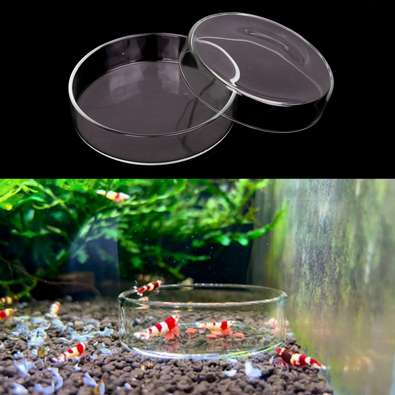 エビ給餌皿高透明ガラス給餌皿魚用タンククリアフィーダーボウル - Aquarium Fertilizer のレビューと価格