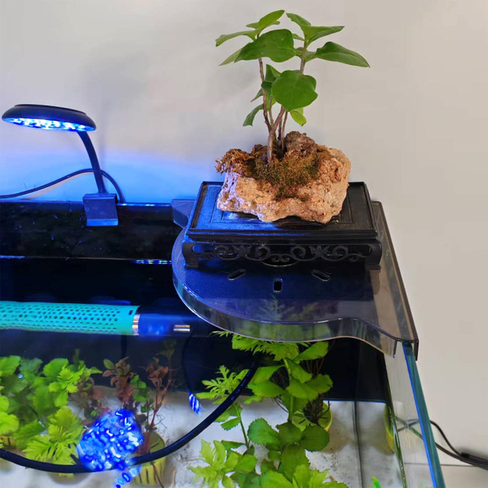 三角形の水槽用コーナー収納ラック、水槽用植物ホルダー、穴あけ - Aquarium Plants Live のレビューと価格