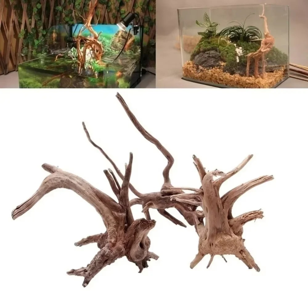 15～20cm天然流木水槽飾り - プレミアム木製水槽オーナ - Aquarium Moss のレビューと価格