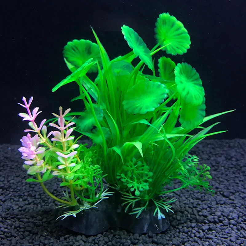 水族館人工装飾植物シミュレーション水雑草飾り水槽植物水雑草水 - Live Plant Aquarium のレビューと価格