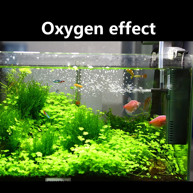 Sunsun-ミニナノ内部酸素ポンプ,111b,311b,6 - Aquarium Planted Tank Filter のレビューと価格