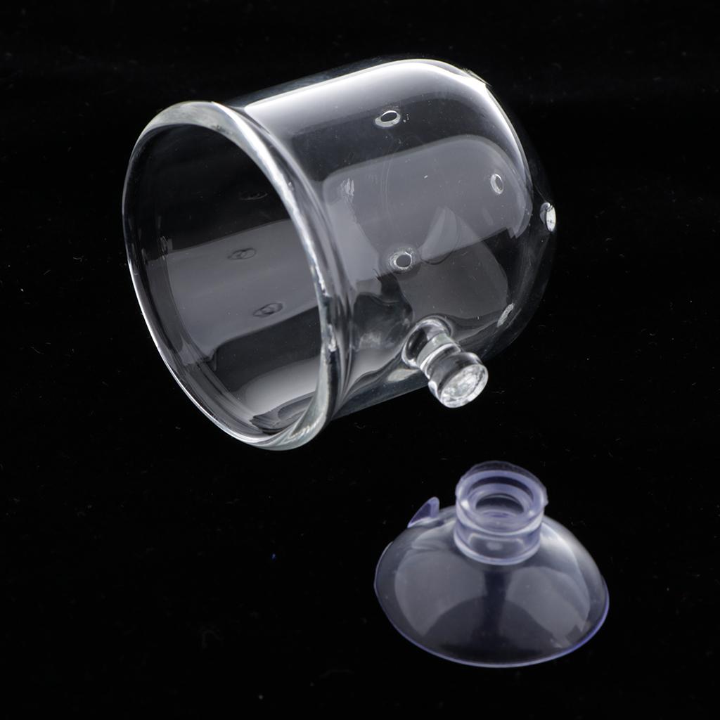 強力な吸盤が付いた、生きたミミズや水草を飼育するための、ガラ - Aquarium Plants Live のレビューと価格
